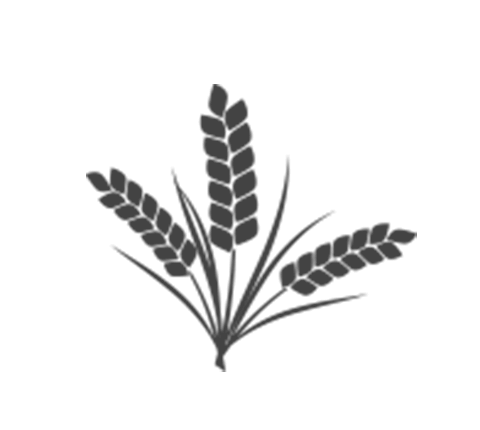 besmarter_com_facts_icon_agriculture_480x430 besmarter_com_facts_icon_agriculture_480x430