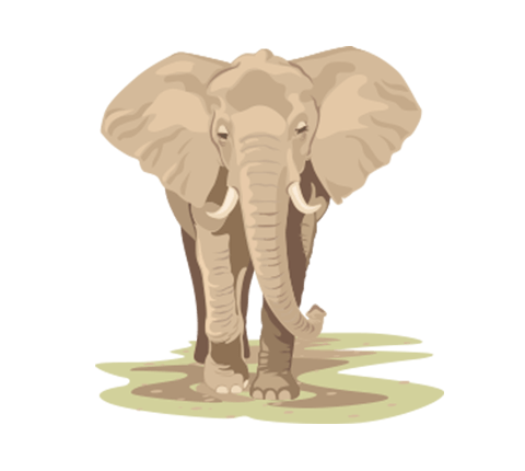 besmarter_com_facts_icon_elephant_480x430 besmarter_com_facts_icon_elephant_480x430