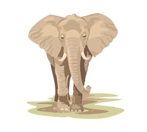 besmarter_com_facts_icon_elephant_480x430